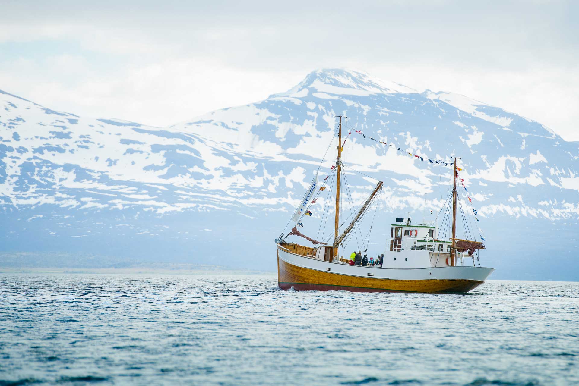 Fishing & fjord cruise - Hermes II