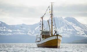 hermes2-baat-tur-tromso-nord-norge-natur-fjell-9-1.jpg