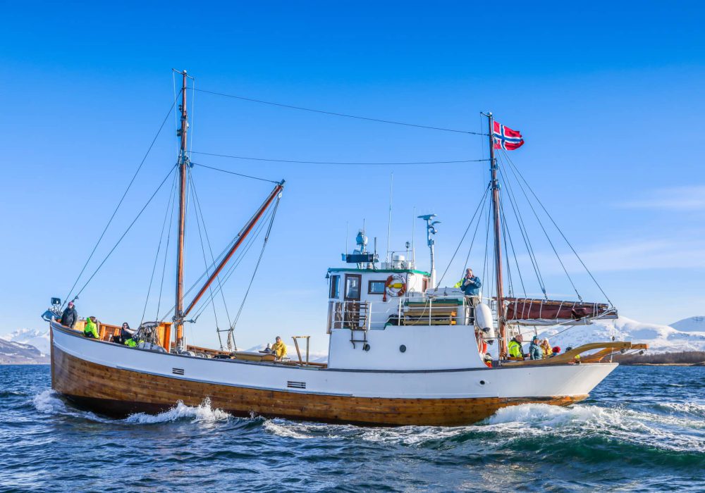 En koselig time på sundet – båttur i Tromsø med Hermes II (2)