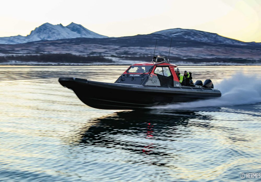 Privat hvalsafari med RIB – båttur i Tromsø med Hermes II (14)
