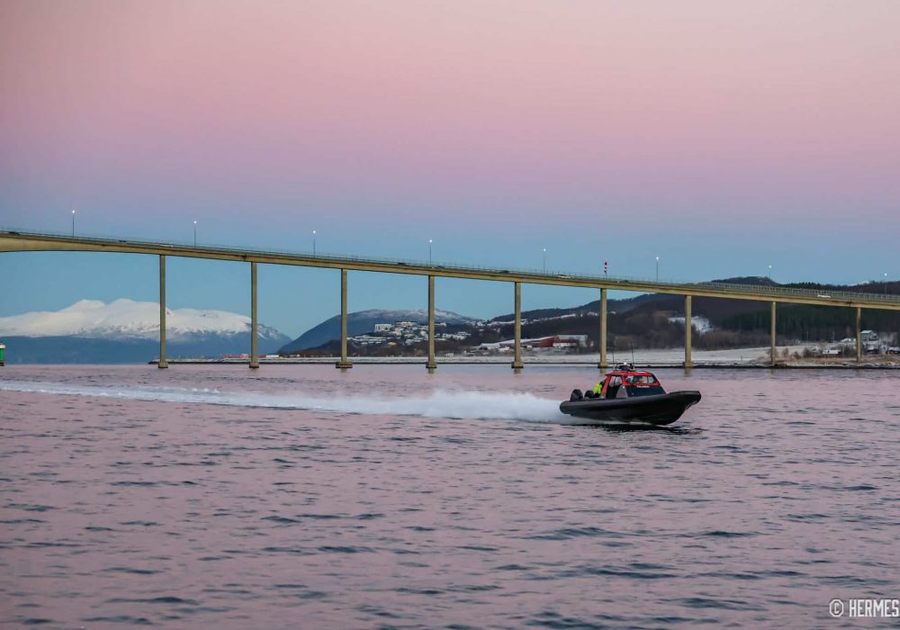 Private Whale Safari by RIB – boat tour in Tromsø with Hermes II (13)