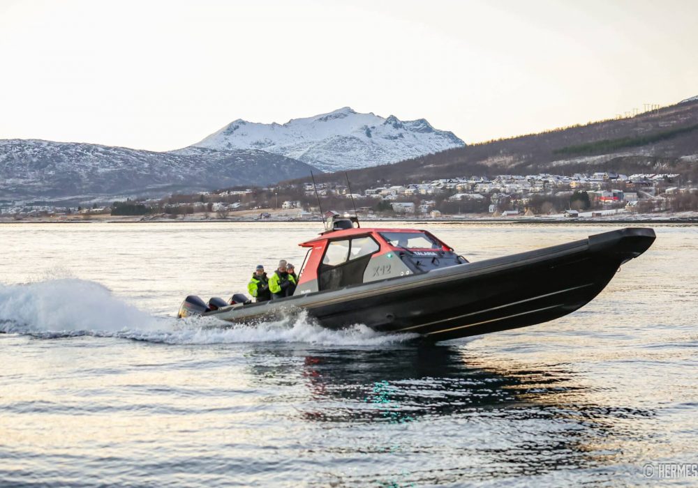 Private Whale Safari by RIB – boat tour in Tromsø with Hermes II (12)