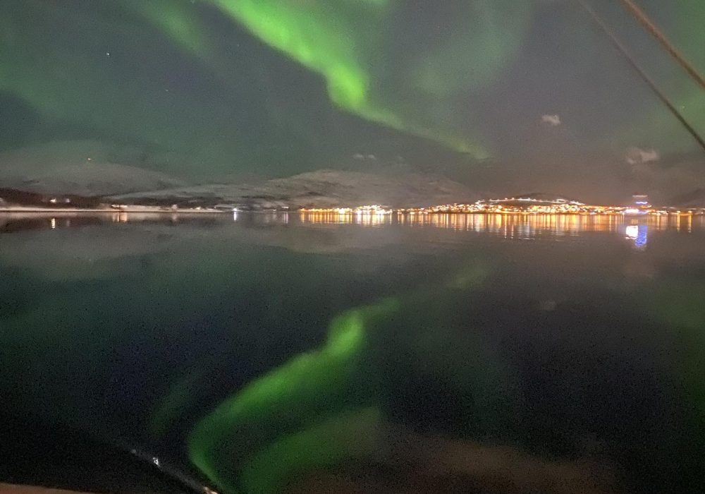 3187f028-1074-443a-a2b9-437e58563c25 (1)