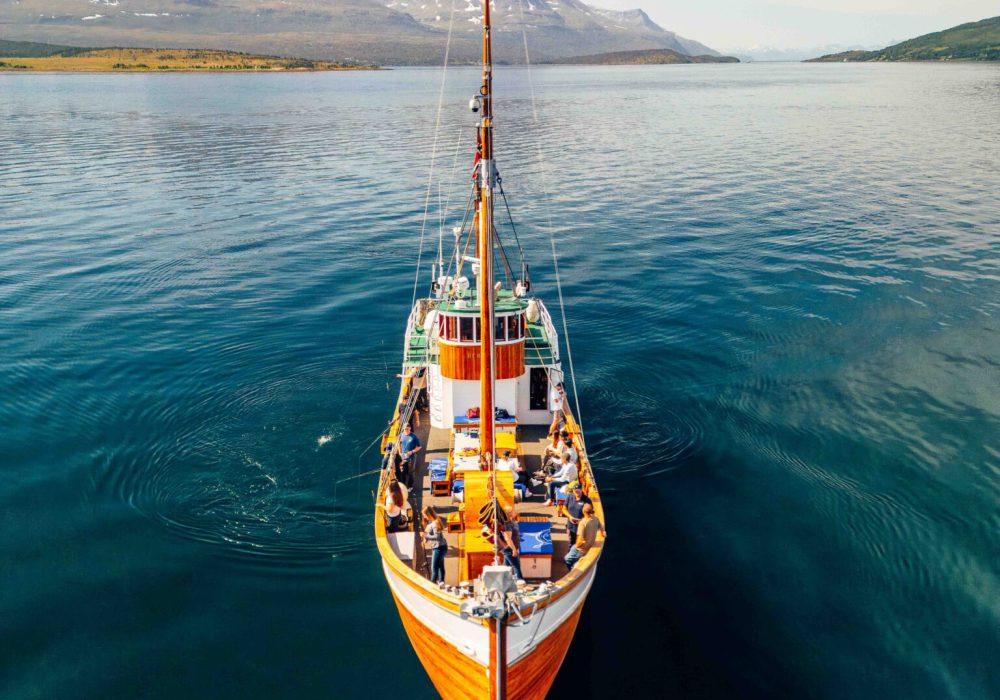 Kveldscruise med fiske – båttur i Tromsø med Hermes II (7)