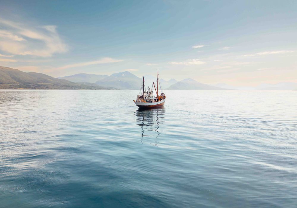 Kveldscruise med fiske – båttur i Tromsø med Hermes II (4)