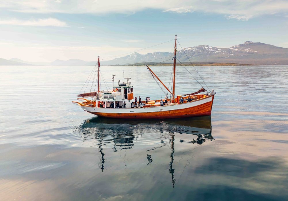 Evening Fishing Cruise – boat tour in Tromsø with Hermes II (8)